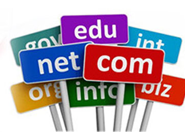 Online Registration Website